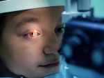 Retinitis pigmentosa research probes role of the enzyme DHDDS in this genetic disease