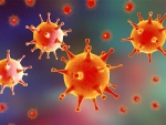 An antiviral gel may prevent genital herpes in women