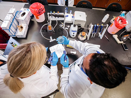 UAB’s online master’s in biotechnology is flexible, convenient, scope-worthy and much more