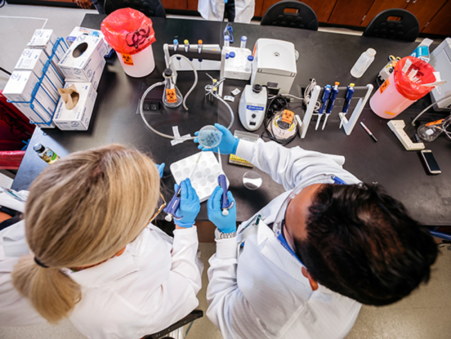UAB’s online master’s in biotechnology is flexible, convenient, scope