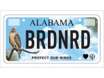 Alabama Audubon announces UAB BLOOM Studio-designed state auto tag