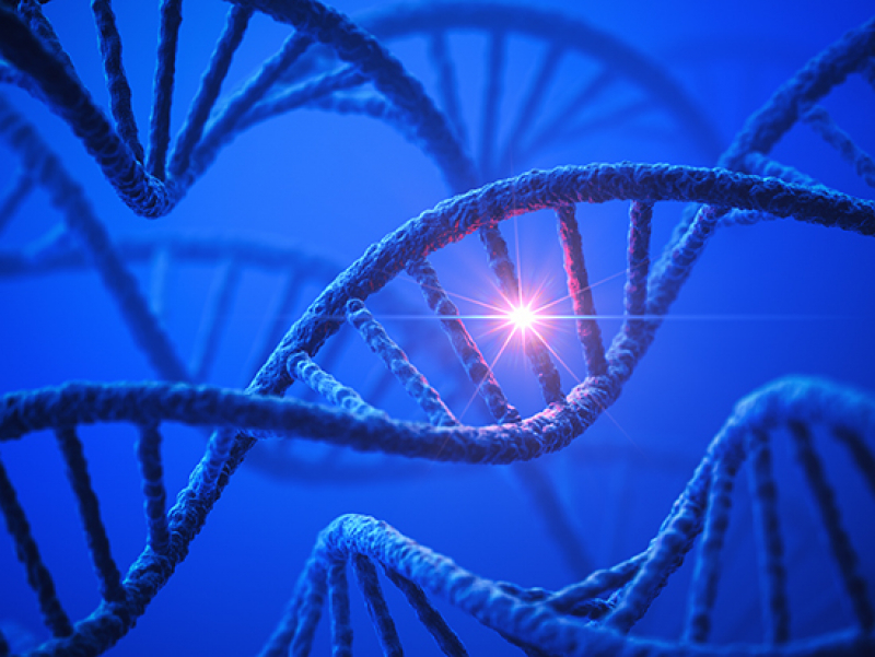 Undiagnosed diseases program finds novel genetic variant