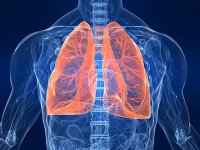 UAB researchers discover possible treatment for incurable lung disease