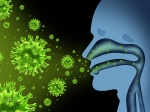 Memory B cells in the lung may be important for more effective influenza vaccinations