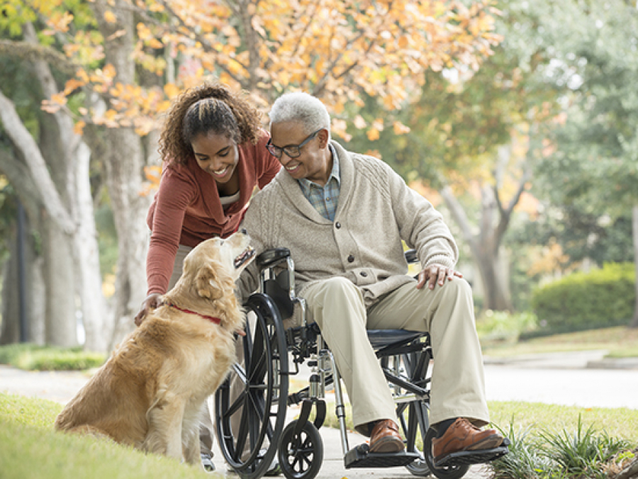 Animal-assisted therapy aids in spinal cord injury recovery - News | UAB