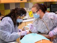 UAB School of Dentistry named national base for new dental research network