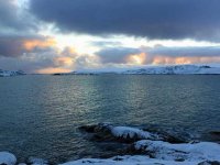 UAB Antarctica website, researchers launched this week