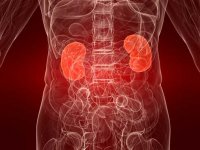 Study shows better method for diagnosing kidney disease