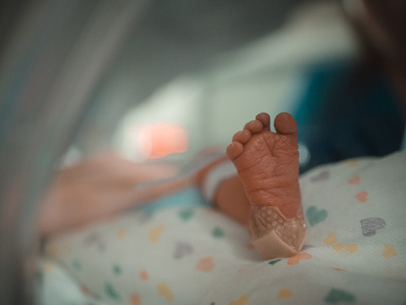 Model probes possible treatments for neonatal infection, a common cause of infant death