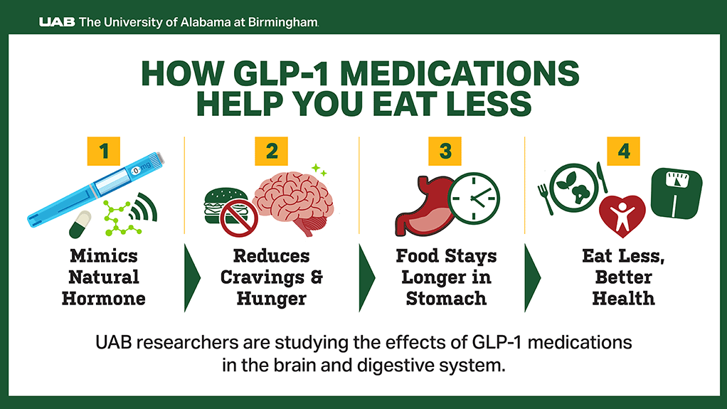 The GLP-1 revolution: What UAB researchers are discovering about how these drugs work