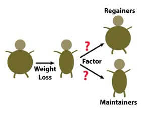 weight loss maintenance diagram
