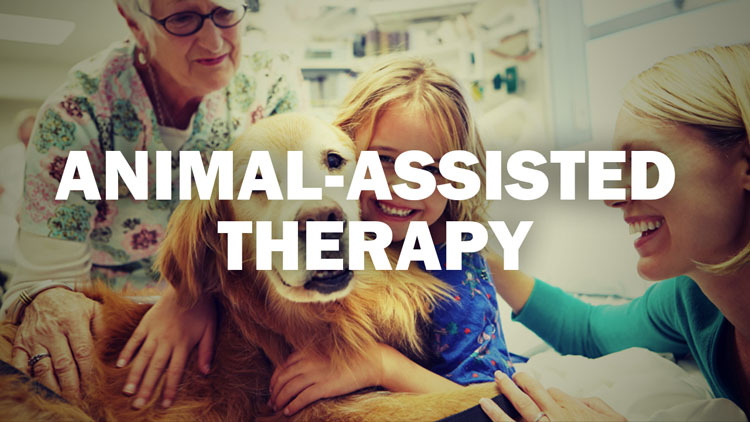 Animal-assisted Therapy