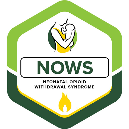 Neonatal Opioid Withdrawal Syndrome (NOWS)