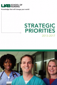 Strategic Priorities 2013-2017
