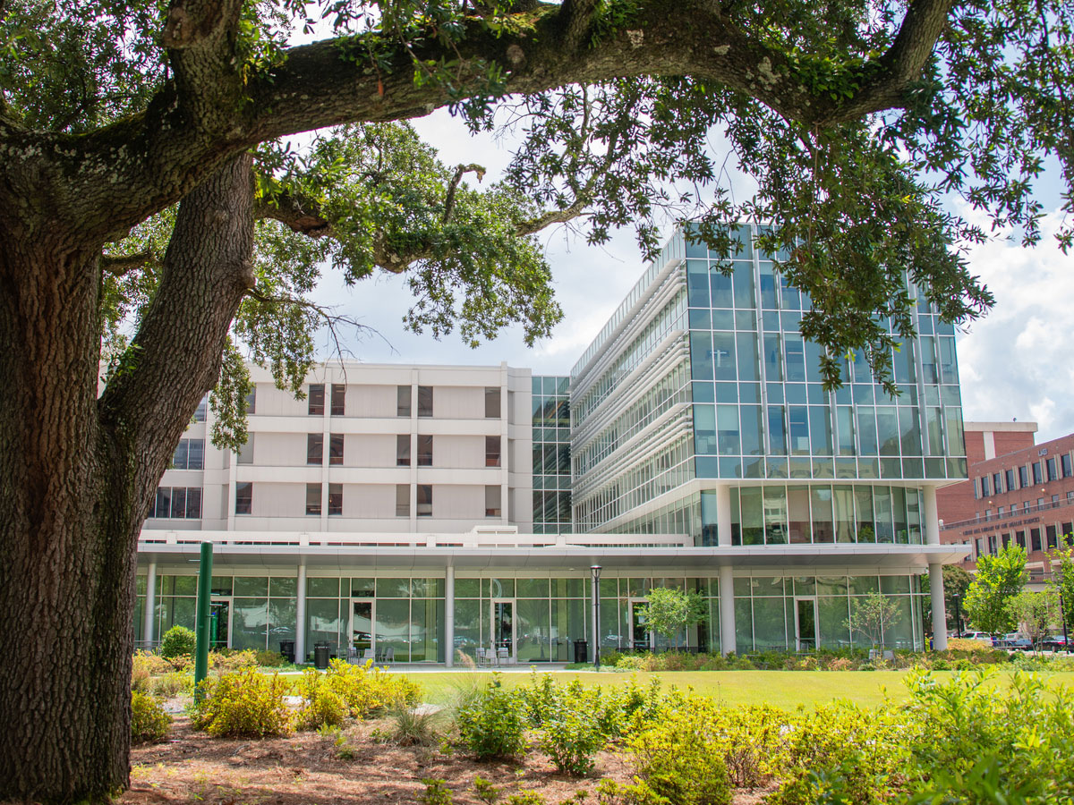 Impact of SON scientists