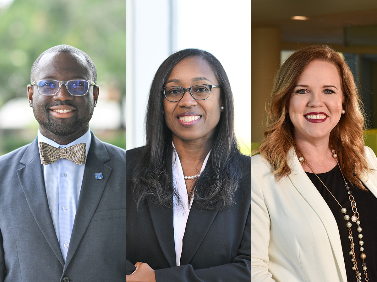 Faculty named NAP Fellows