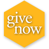 give now button2 yellow