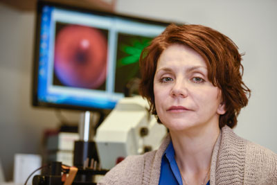 Marina Gorbatyuk, PhD