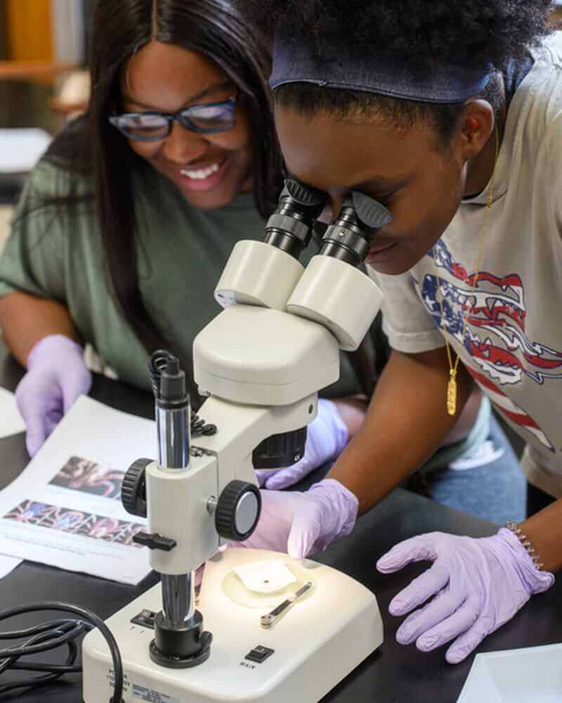 Two students in purple gloves, one peering through a microscope. 