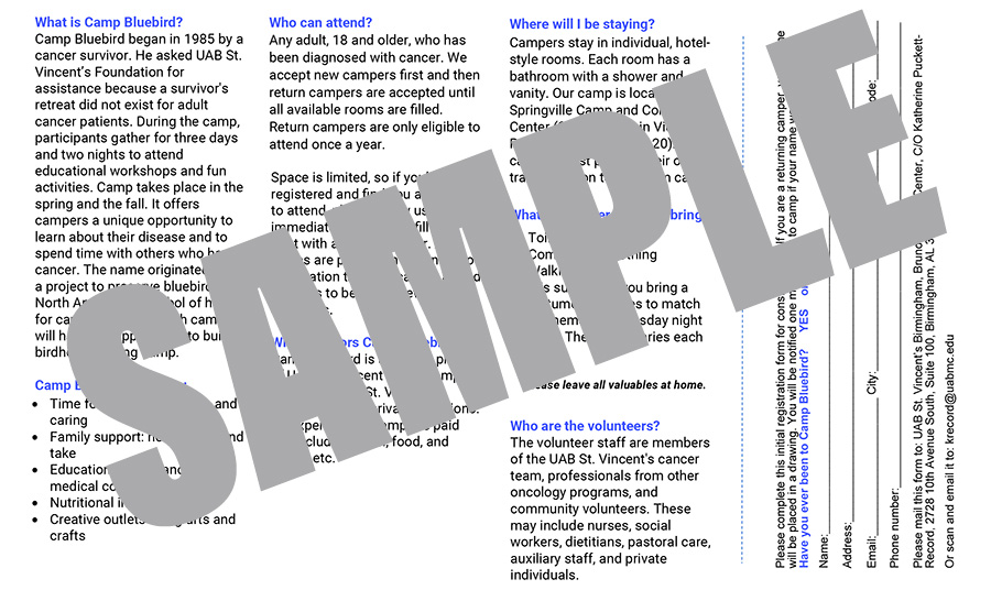 CAMP BLUEBIRD BROCHURE