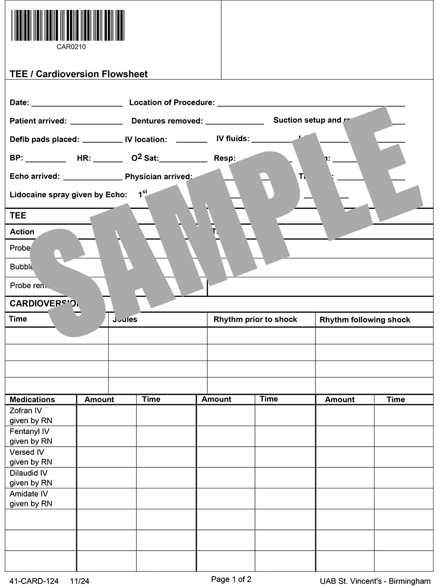 TEE/ARDIOVERSION FLOWSHEET