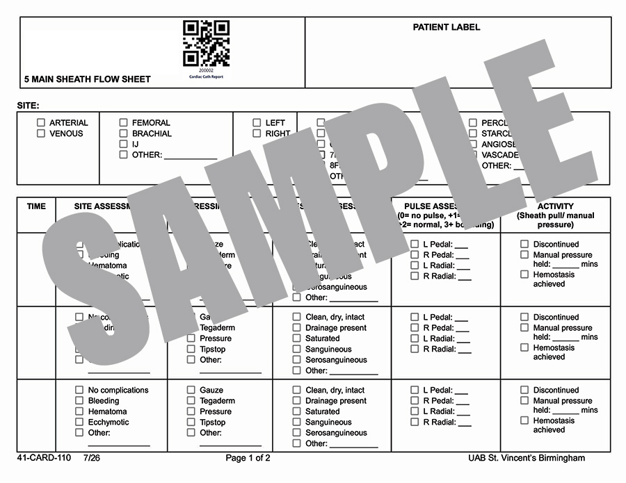5 MAIN SHEATH FLOWSHEET
