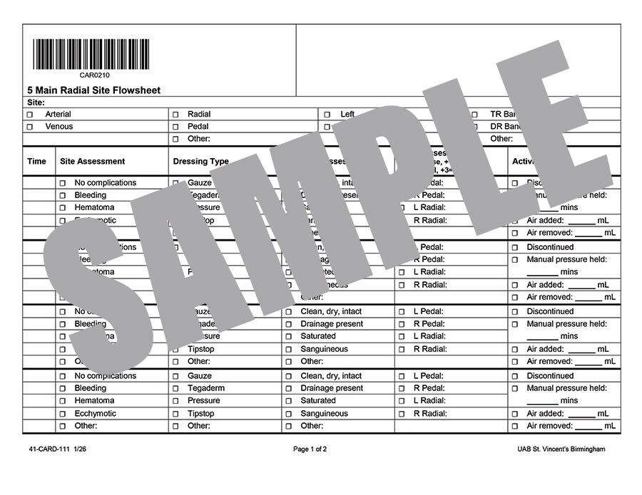 5 MAIN RADIAT SITE FLOWSHEET