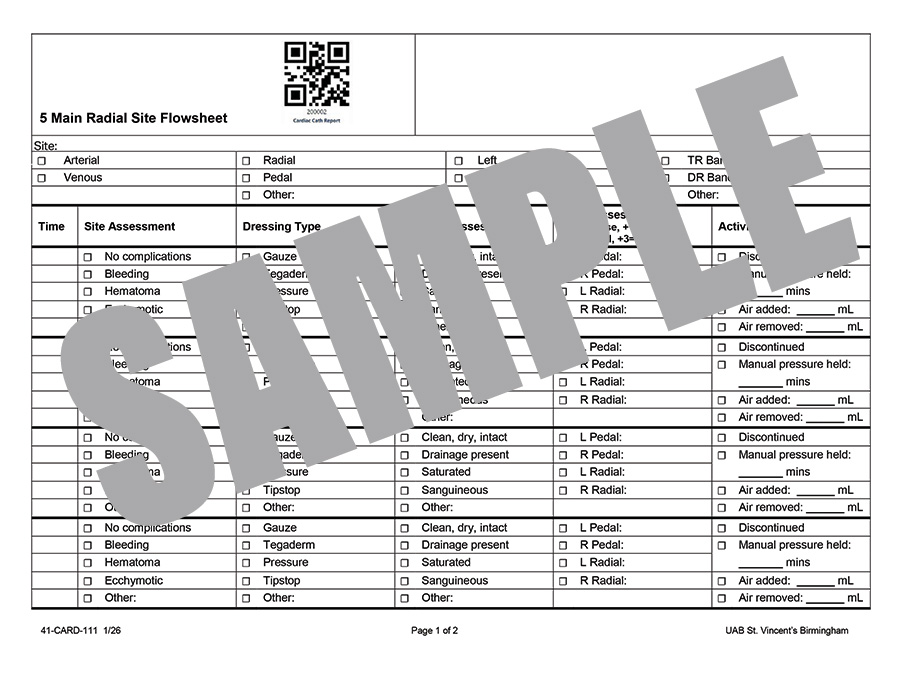5 MAIN RADIAT SITE FLOWSHEET