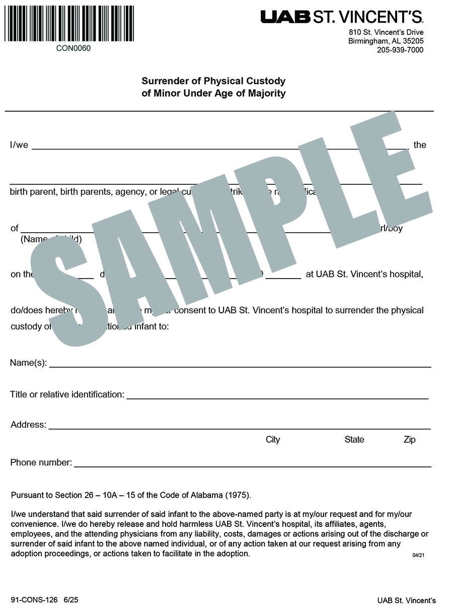 SURRENDER OF CUSTODY
