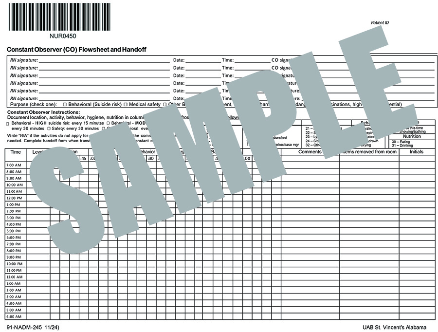 CONSTANT OBSERVER REQUEST FORM