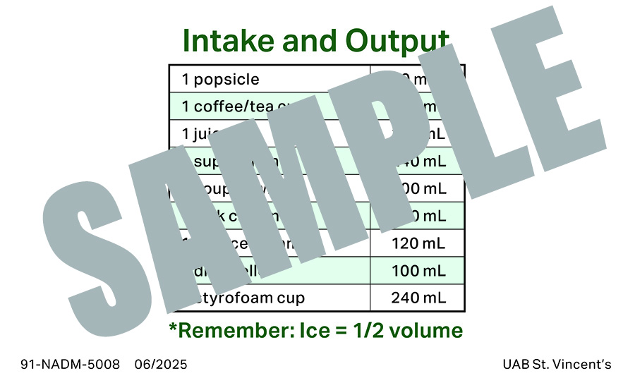 INTAKE-OUTPUT BADGE BUDDY