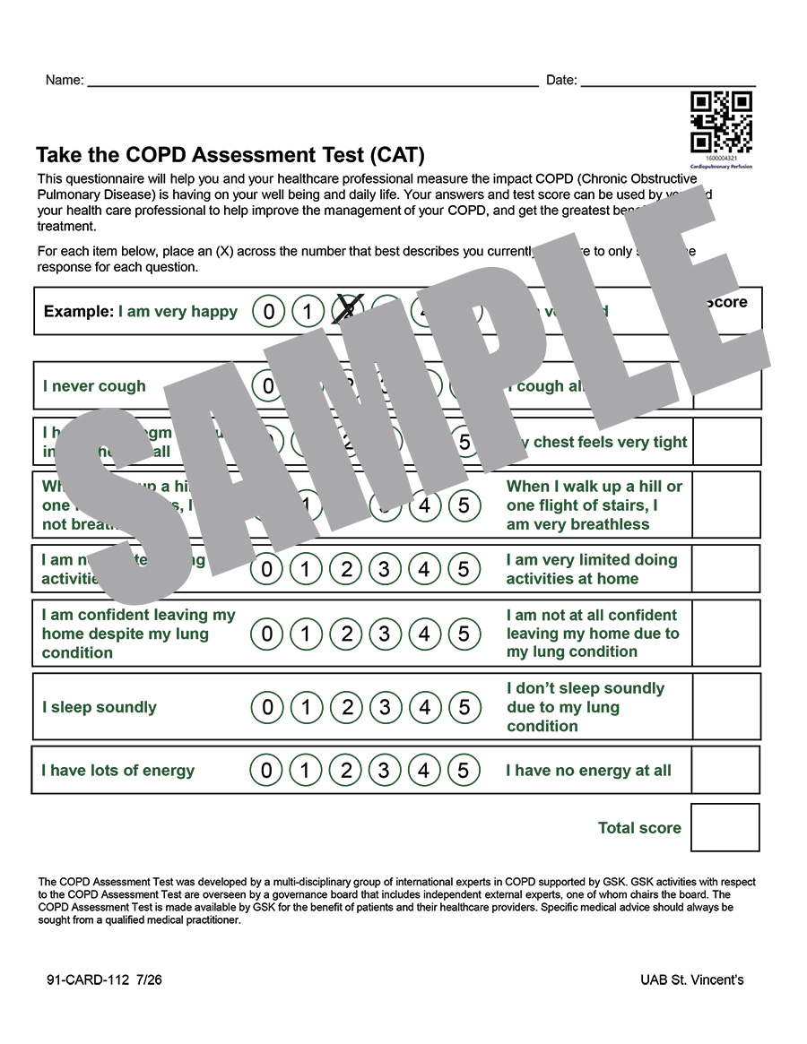 CAT SCORE