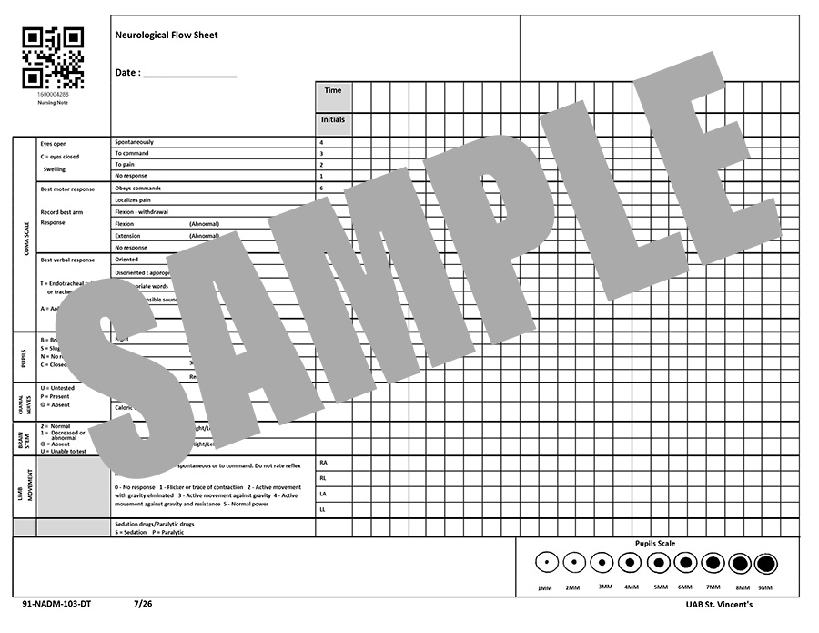 NEUROLOGICAL FLOW SHEET - DOWNTIME