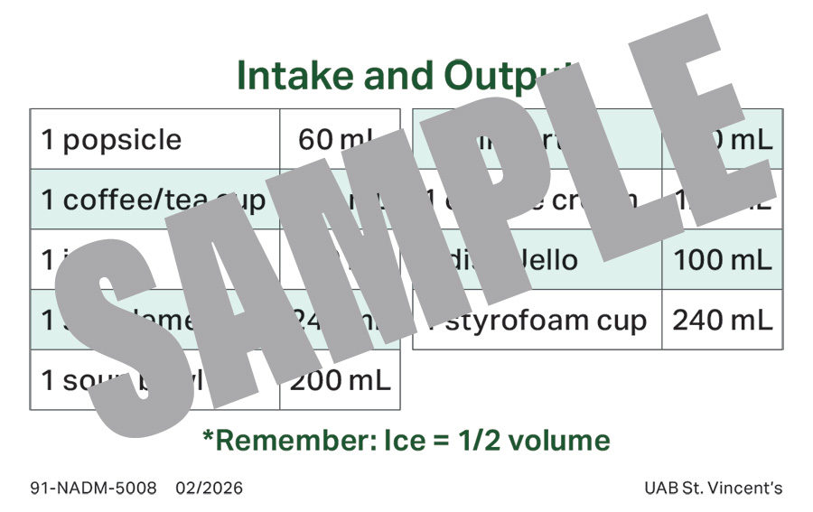 INTAKE-OUTPUT BADGE BUDDY