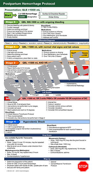 Hemorrhage Postpartum Poster - 16x30