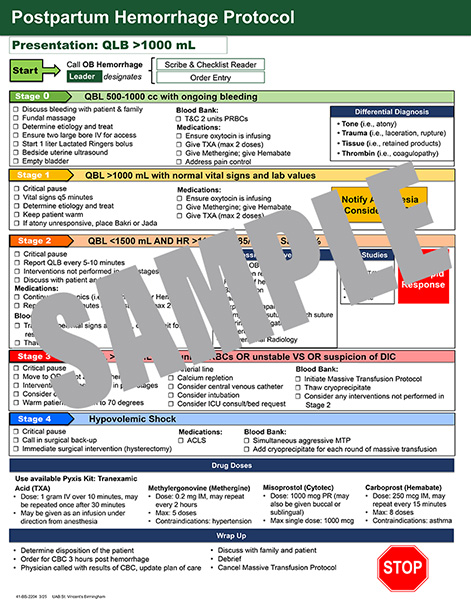 Hemorrhage Postpartum Poster - 20x26