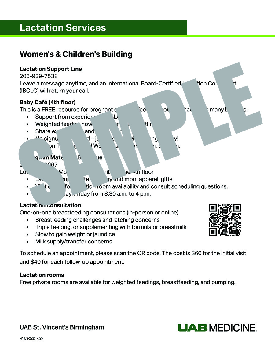 LACTATION SERVICES (BIRTH SUITES)