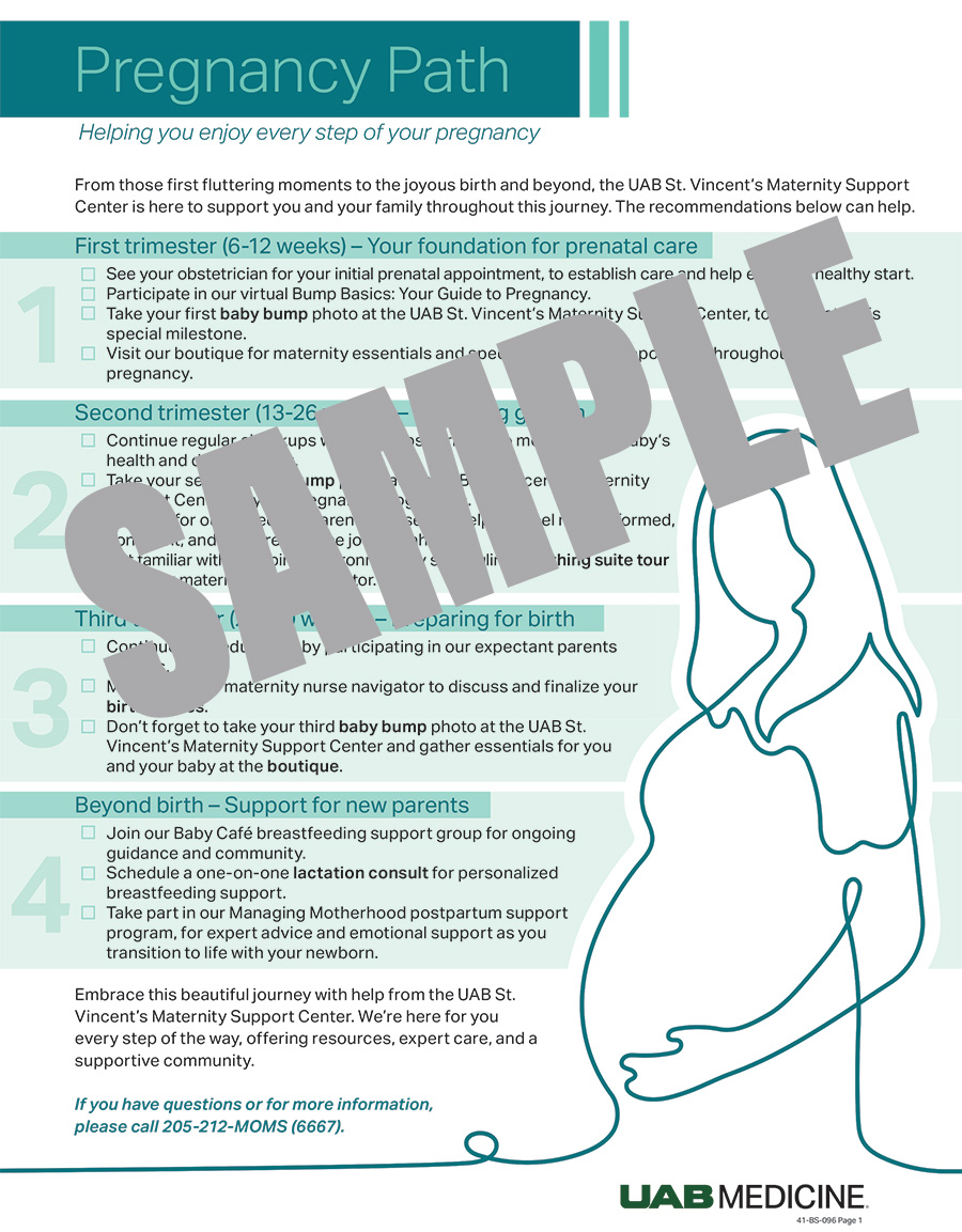 Preparing for Pregnancy Packet