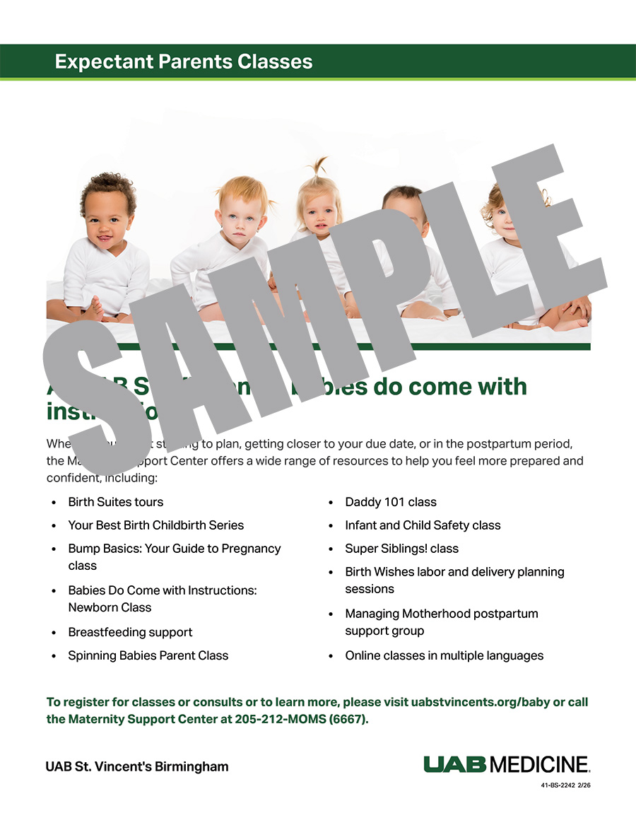 BABIES DO COME WITH INSTRUCTIONS FLYER
