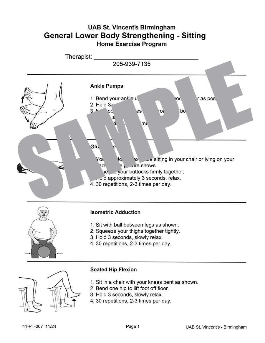 GEN LOWER BODY STRENGTH SITTING HEP