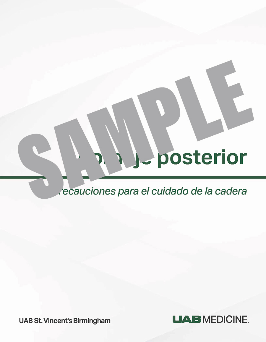 HIP POSTERIOR APPROACH GUIDE-SPANISH