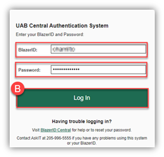 Screenshot showing Central Authentication system