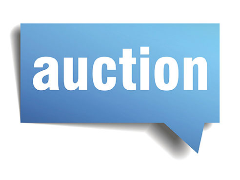 auction 2