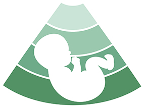Fetus silhouette design - vector medical background