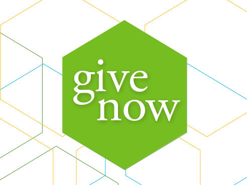 give-now-button