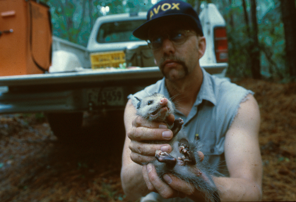 Austad baby possum inside 2