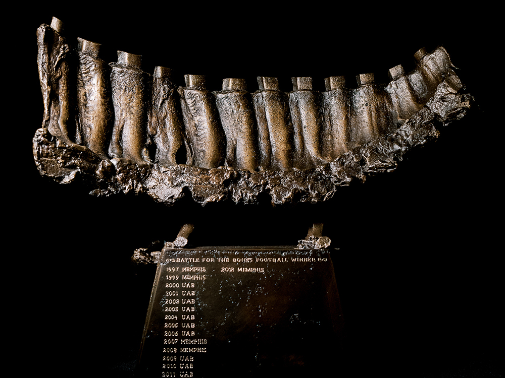 rep bones full view 1000px 750px 150dpi