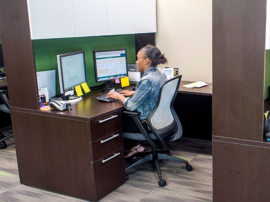 rep ergo vet services 550px