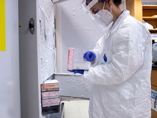 rep immuno study lund lab 550px lexi coon