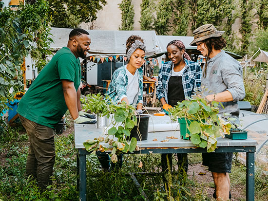 rep new nutrition garden uab 550px